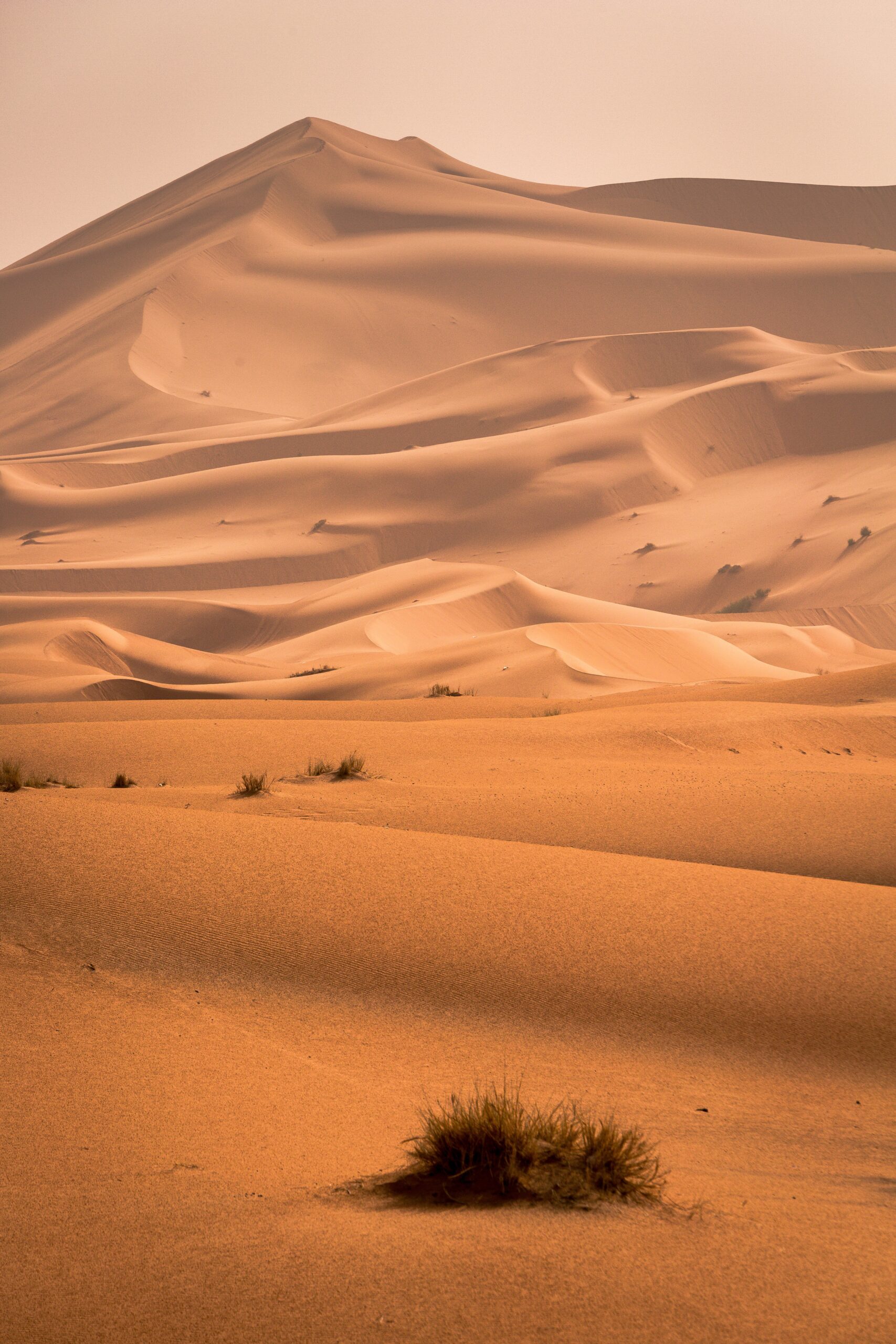 جن في قلب الصحراء